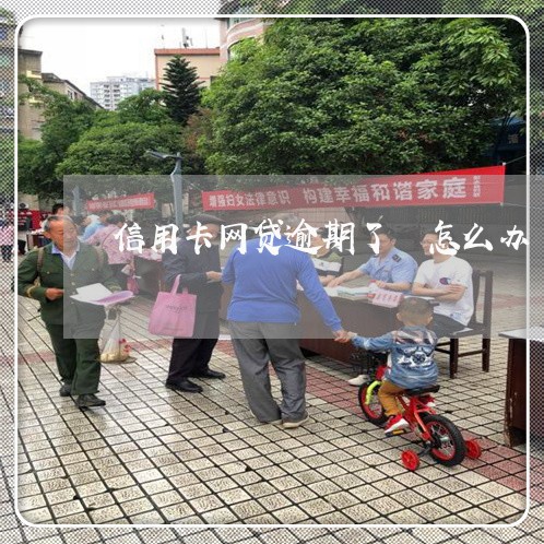 信用卡网贷逾期了 怎么办